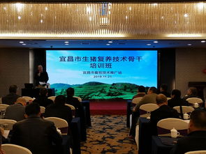 科技賦能，精準(zhǔn)施策——市畜牧技術(shù)推廣站舉辦專(zhuān)題培訓(xùn)班，全力助推生豬復(fù)產(chǎn)保供給