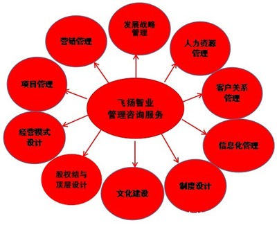 管理咨詢服務(wù)哪家強(qiáng)？專業(yè)信息咨詢機(jī)構(gòu)的選擇與考量